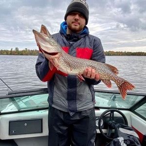 Meet your Posher, Mitchell